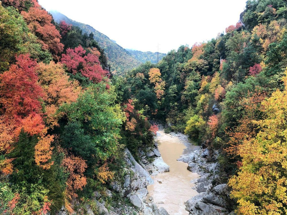 Masia Cap Del Roc Vallcebre Экстерьер фото